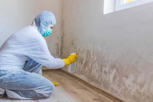 Licensed Mold Testing service in Lindenhurst, NY - WQB Mold Removal