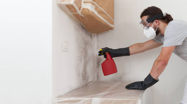 Professional Mold Testing technician working in Lindenhurst, NY