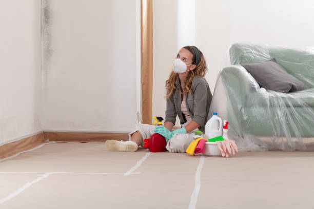 Reliable Mold Testing contractor in Lindenhurst, NY by WQB Mold Removal